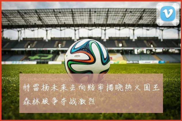 特雷杨未来去向赔率揭晓热火国王森林狼争夺战激烈