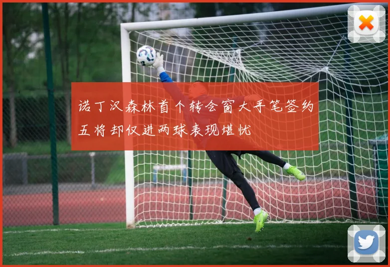 诺丁汉森林首个转会窗大手笔签约五将却仅进两球表现堪忧